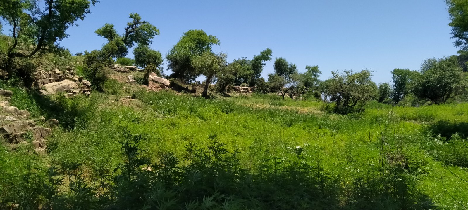 Travel Photo